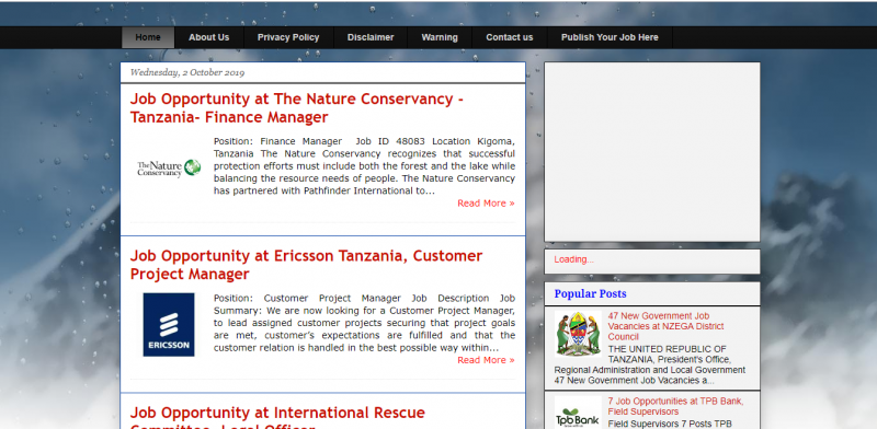 Top 6 Best Job Search Websites in Tanzania 3