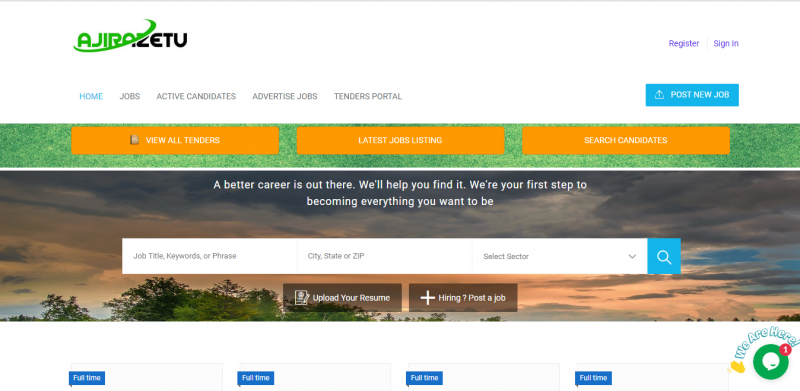Top 6 Best Job Search Websites in Tanzania 6